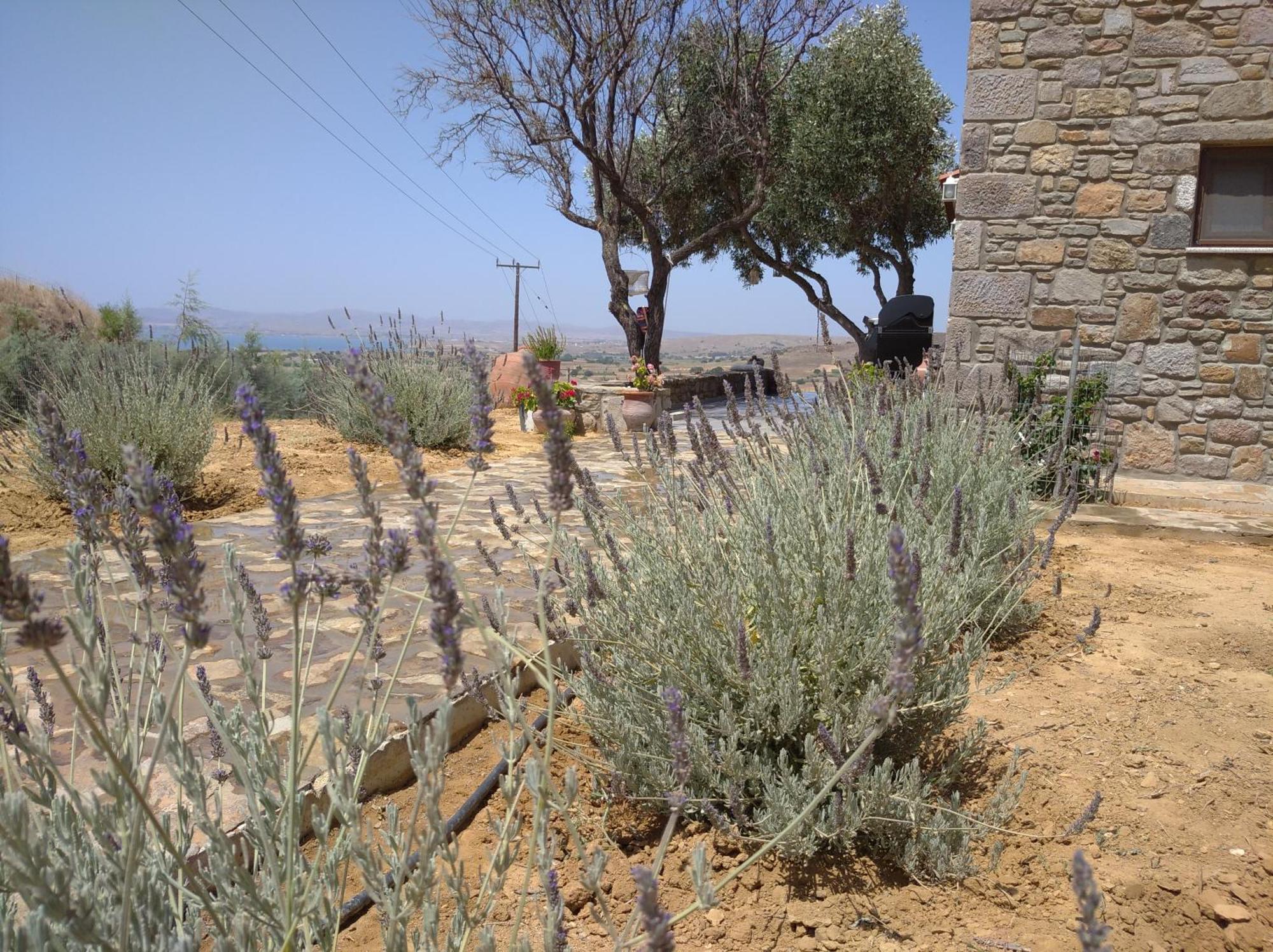Roussopoulio Paliokaliva Home מראה חיצוני תמונה