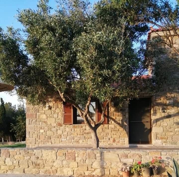 Roussopoulio Paliokaliva Home מראה חיצוני תמונה